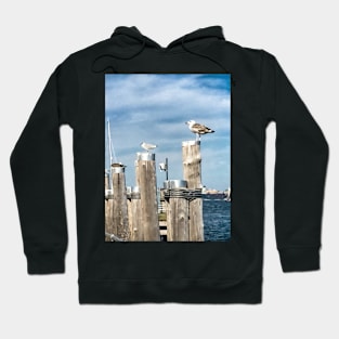 Seagulls, New York City Hoodie